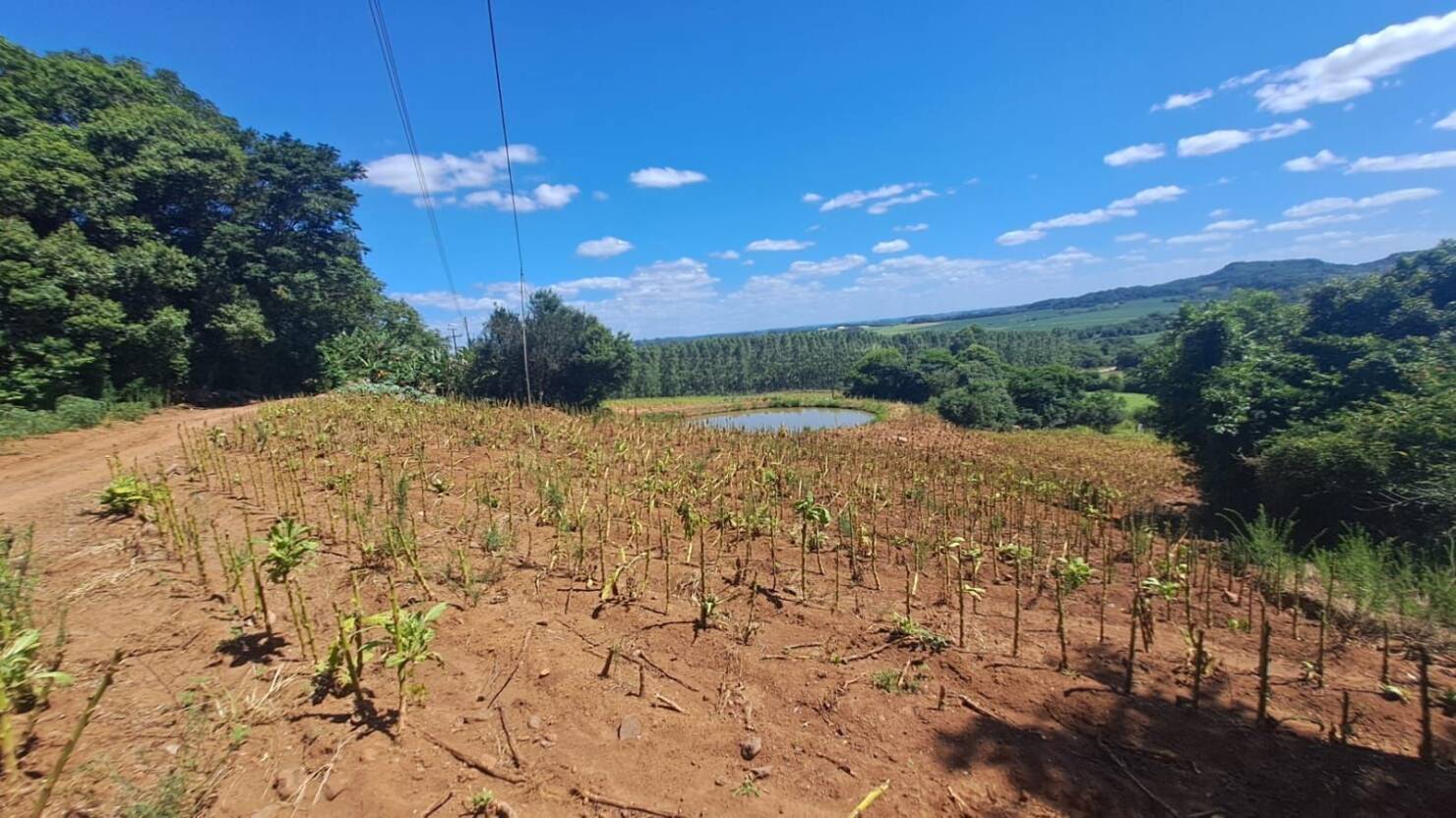 Chácara, 3 quartos, 5 hectares - Foto 46