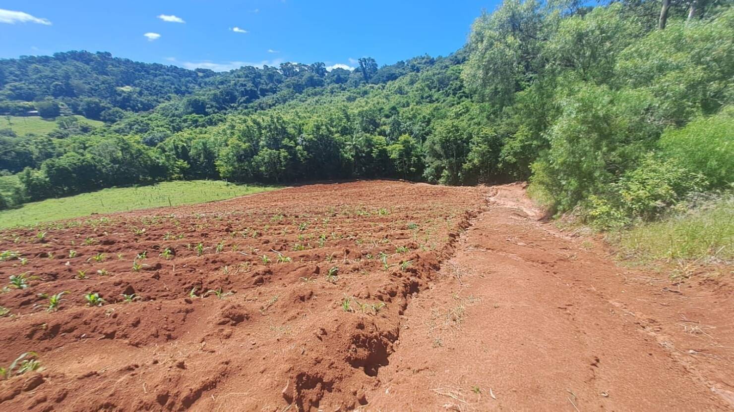 Chácara, 3 quartos, 5 hectares - Foto 47