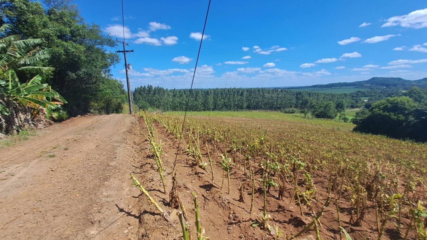 Chácara, 3 quartos, 5 hectares - Foto 49