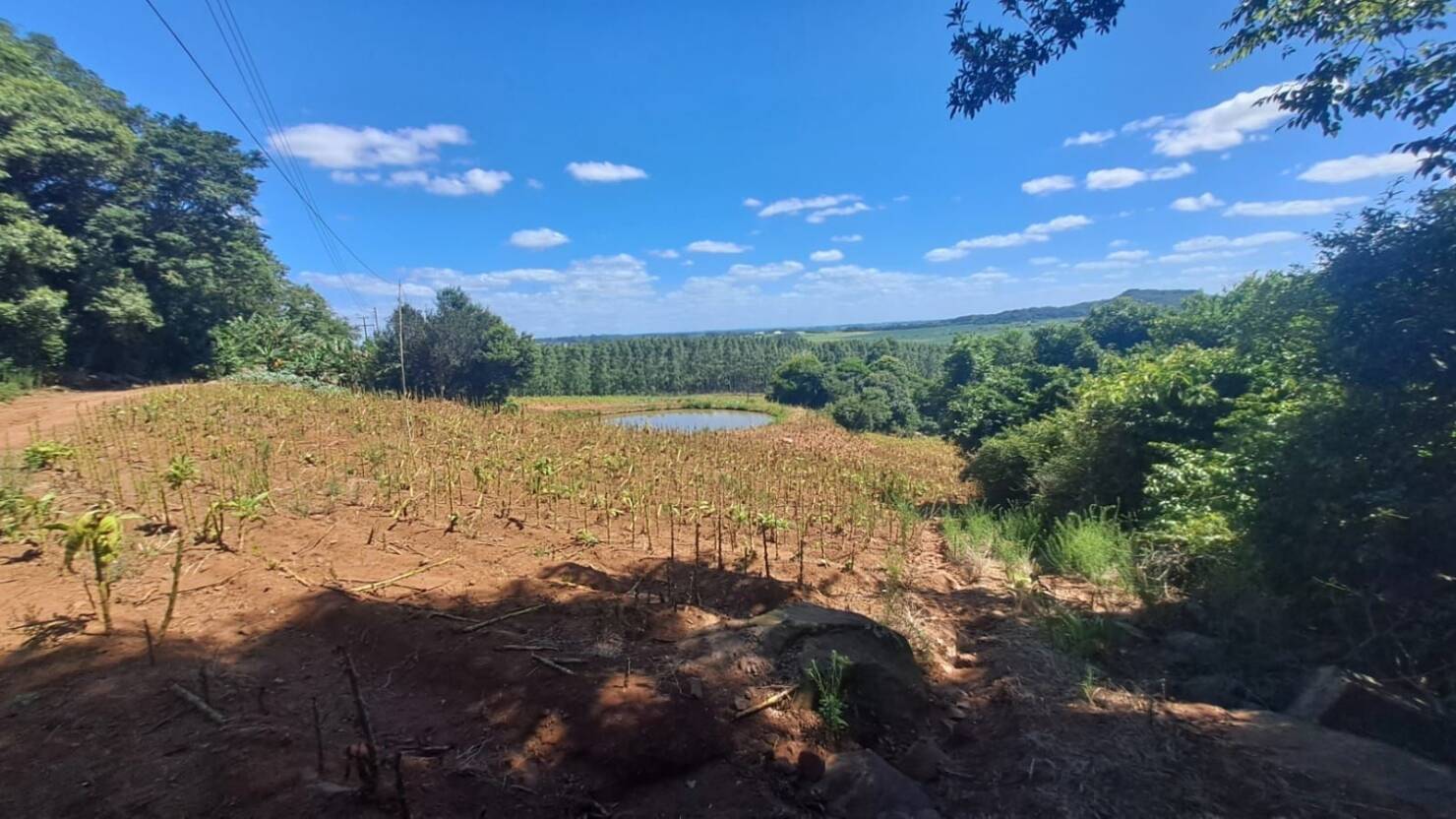 Chácara, 3 quartos, 5 hectares - Foto 51