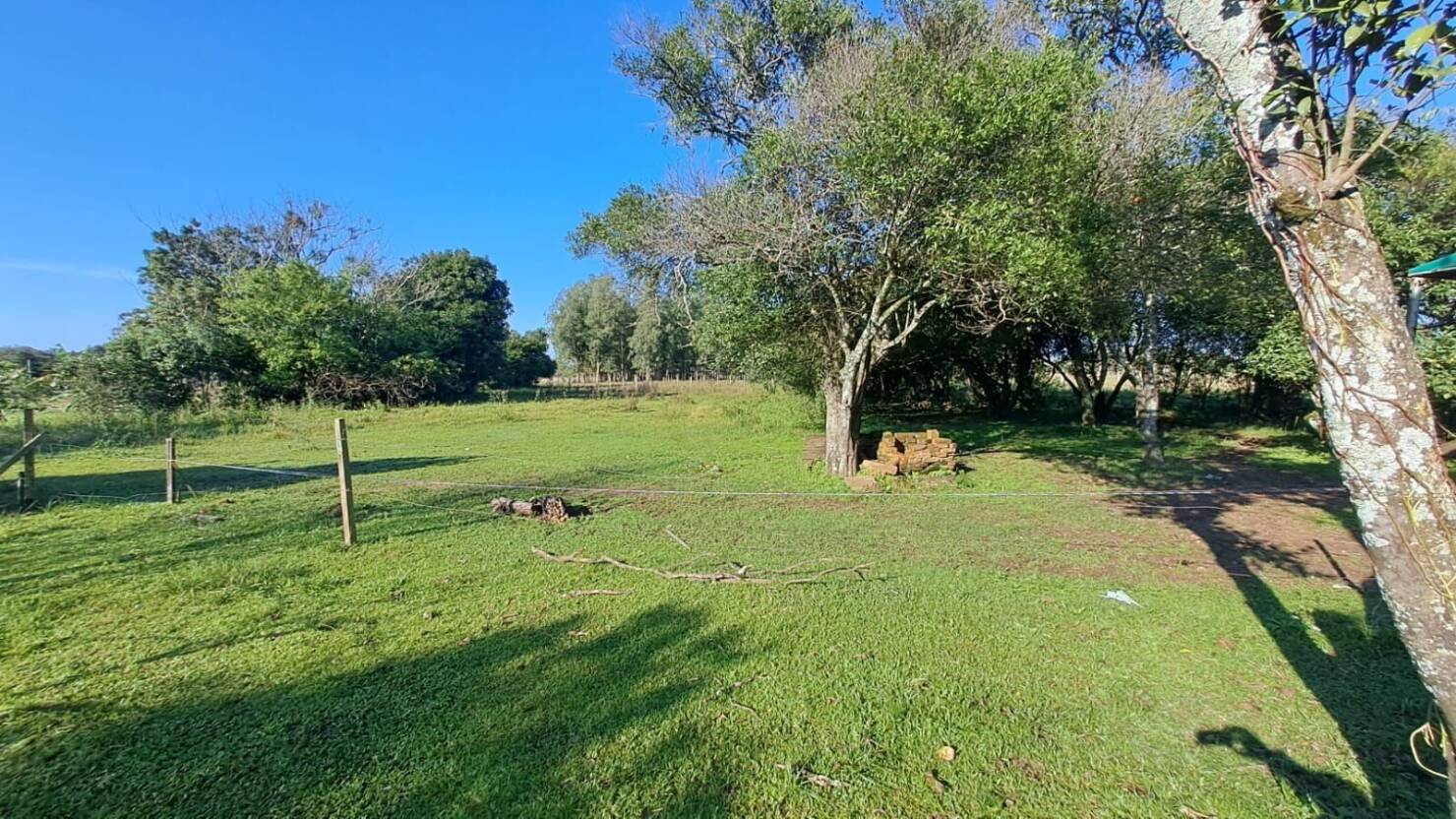 Sítio à venda com 2 quartos, 7320m² - Foto 17