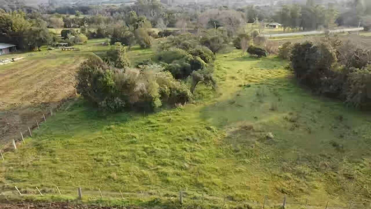 Sítio à venda com 2 quartos, 7320m² - Foto 21