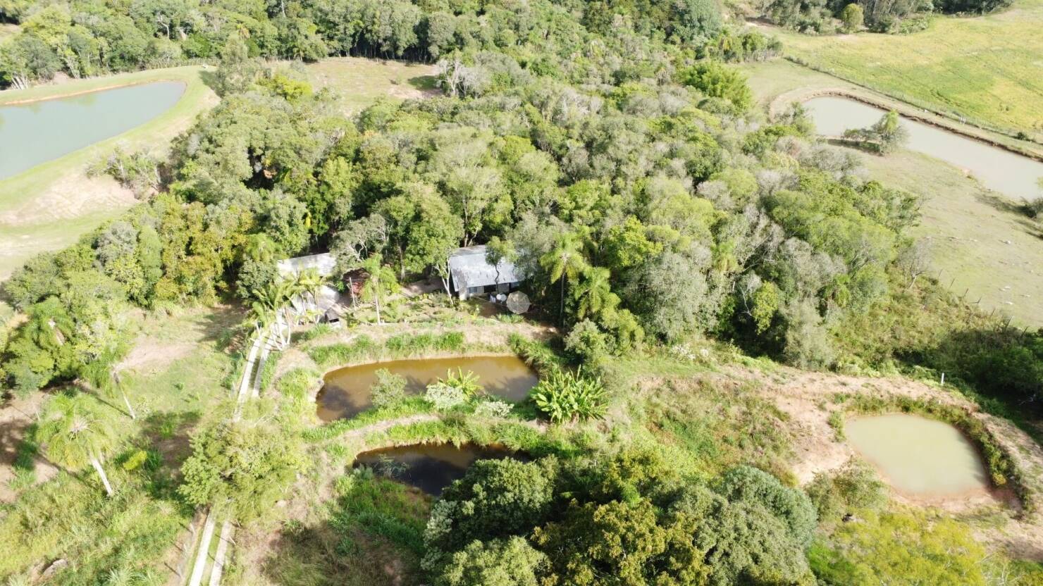 Chácara à venda com 3 quartos, 15000m² - Foto 5