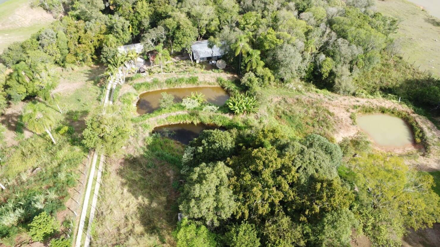 Chácara à venda com 3 quartos, 15000m² - Foto 6