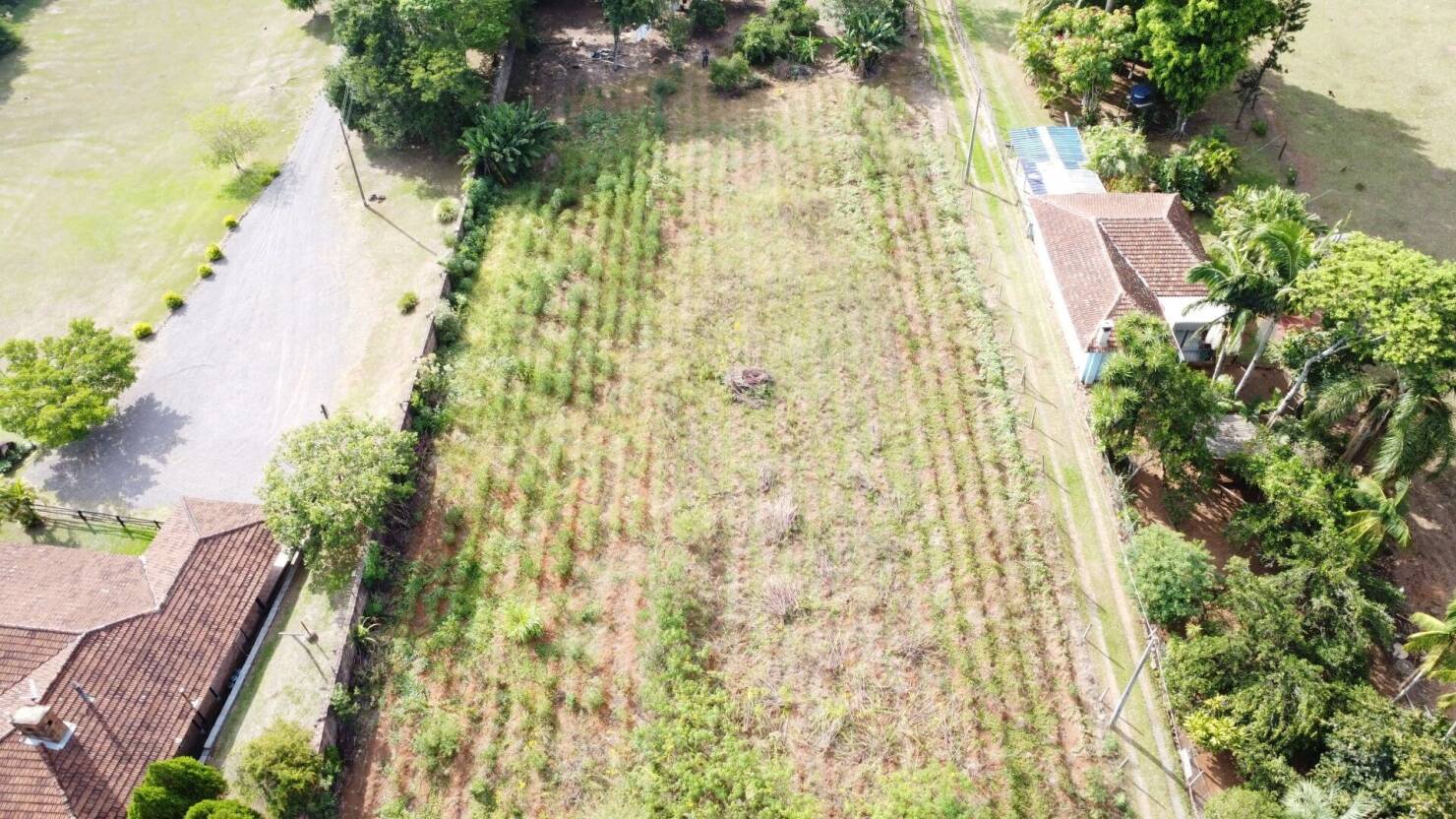 Chácara à venda com 3 quartos, 15000m² - Foto 7