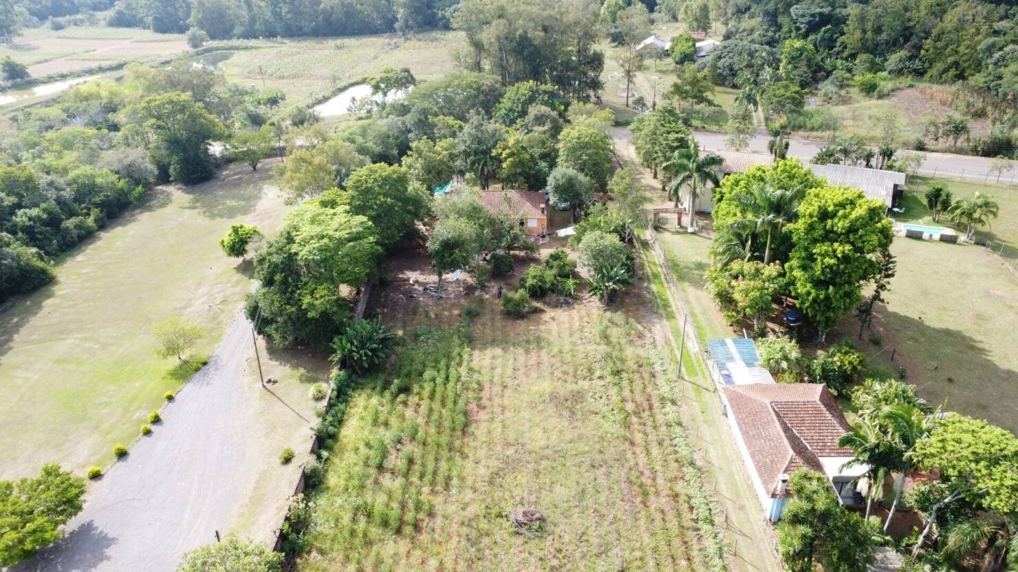 Chácara à venda com 3 quartos, 15000m² - Foto 8