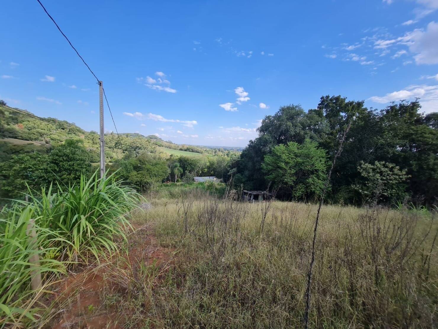 Chácara à venda com 3 quartos, 15000m² - Foto 9