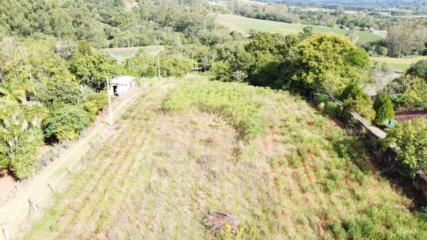 Chácara à venda com 3 quartos, 15000m² - Foto 10