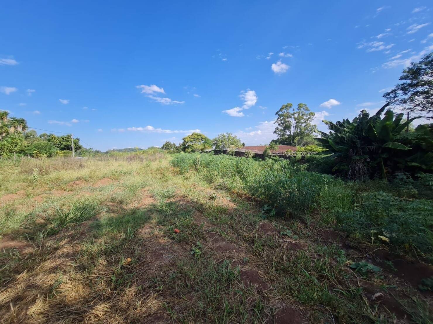 Chácara à venda com 3 quartos, 15000m² - Foto 11