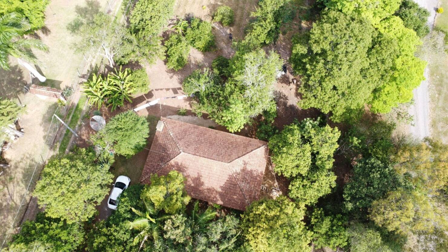 Chácara à venda com 3 quartos, 15000m² - Foto 13