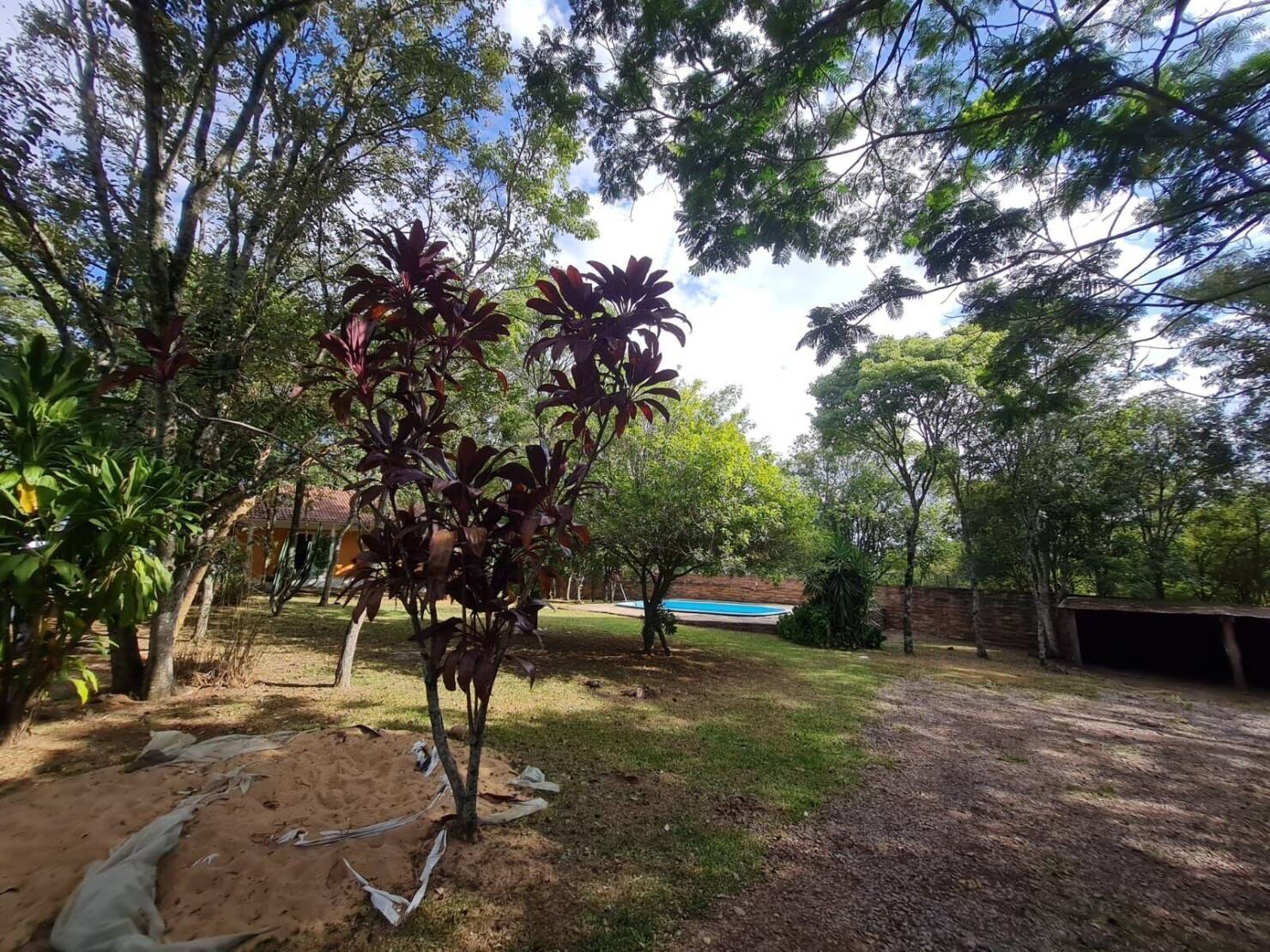 Chácara à venda com 3 quartos, 15000m² - Foto 3