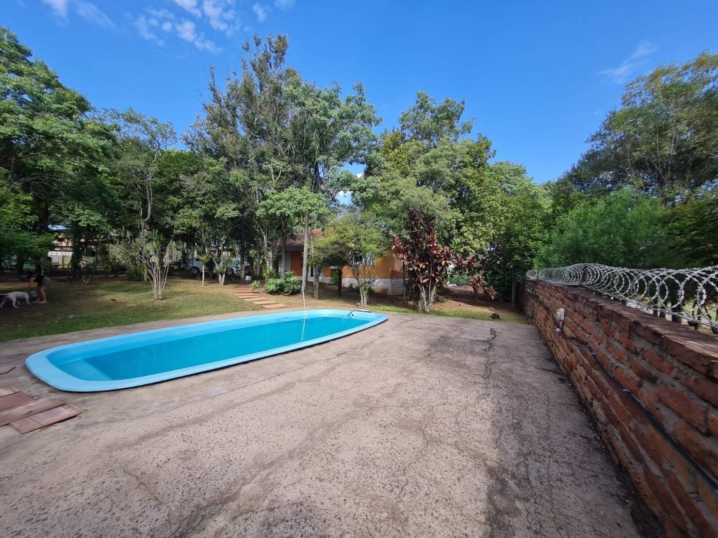 Chácara à venda com 3 quartos, 15000m² - Foto 15