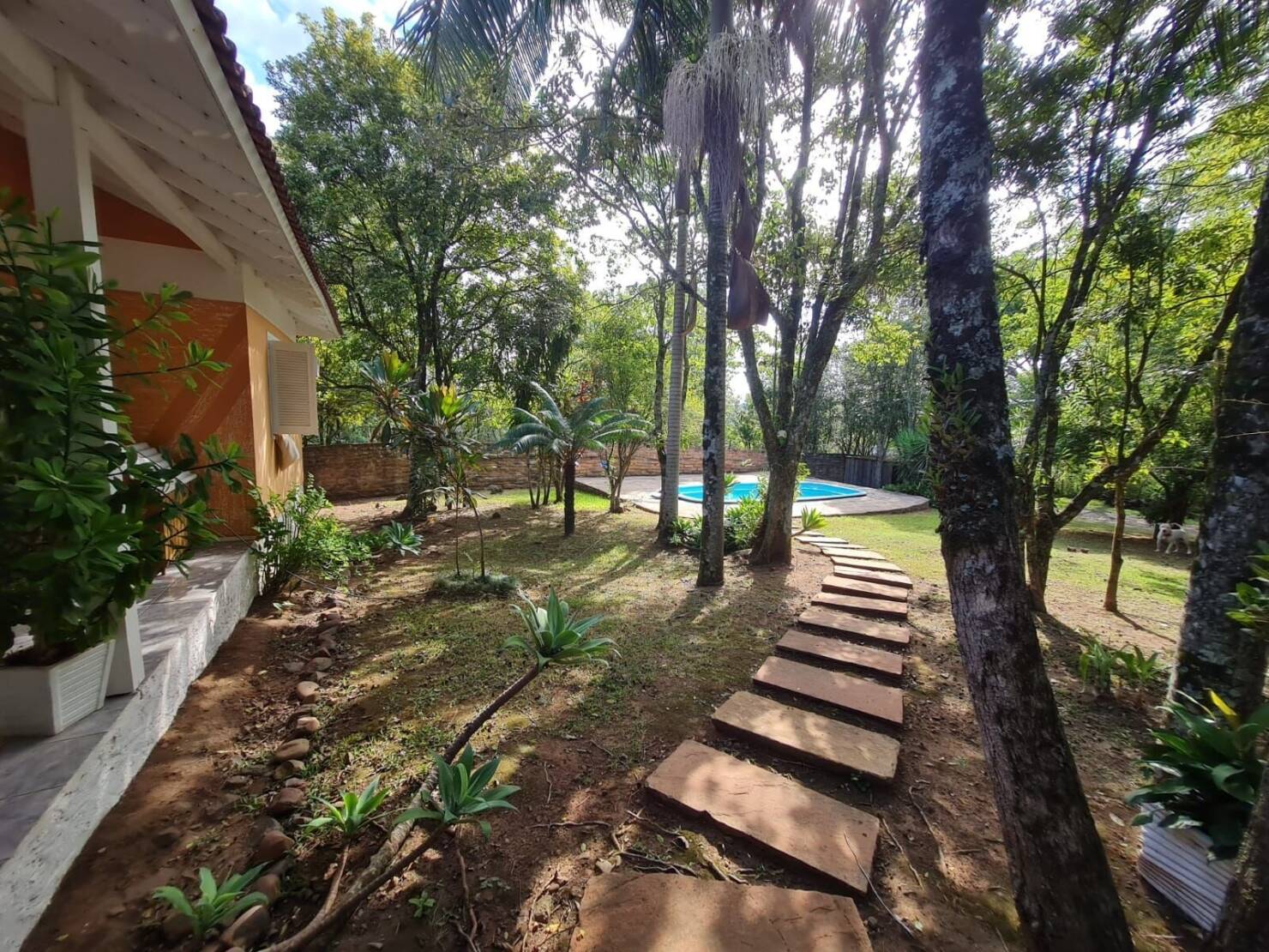 Chácara à venda com 3 quartos, 15000m² - Foto 21