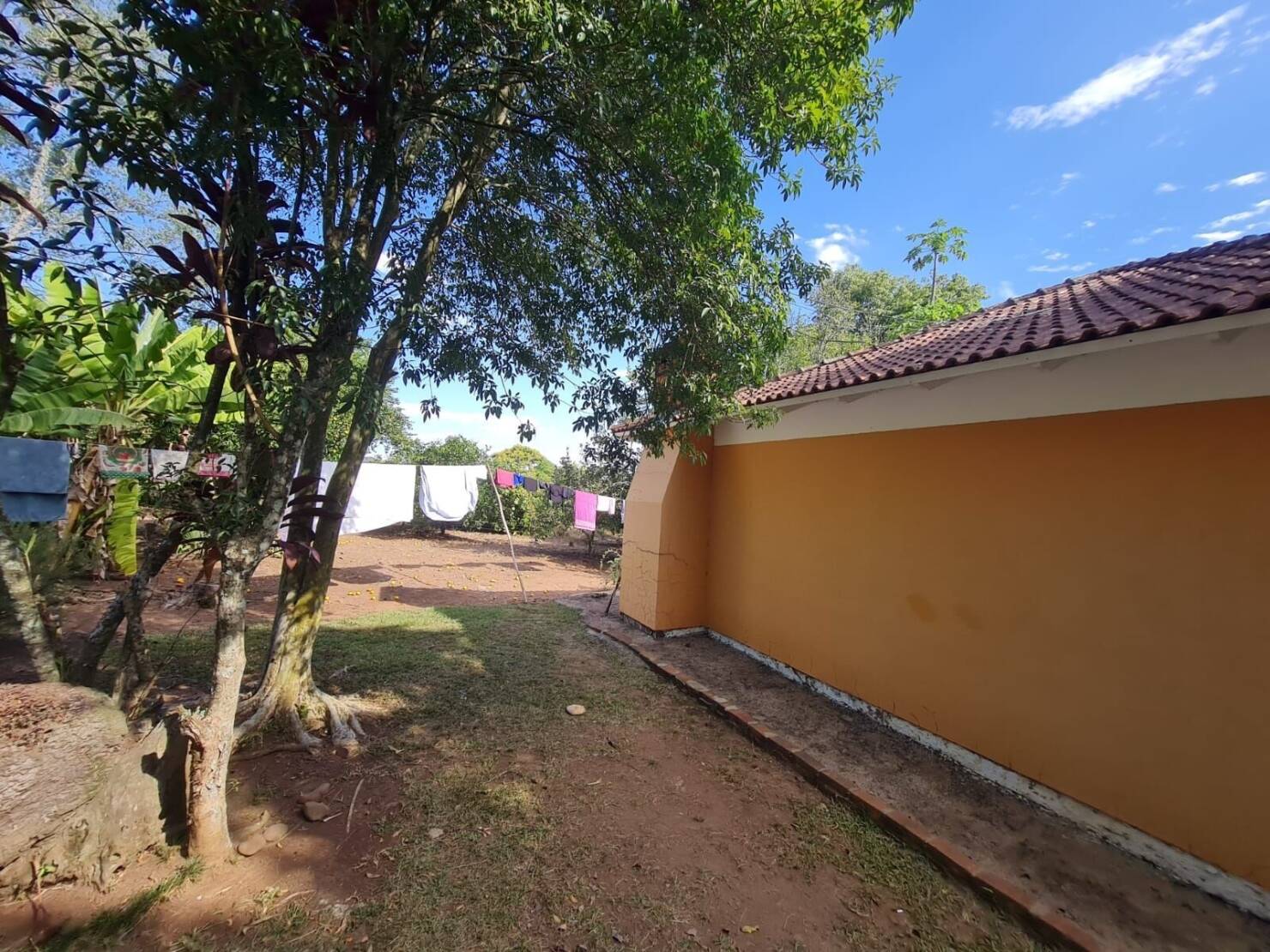 Chácara à venda com 3 quartos, 15000m² - Foto 22