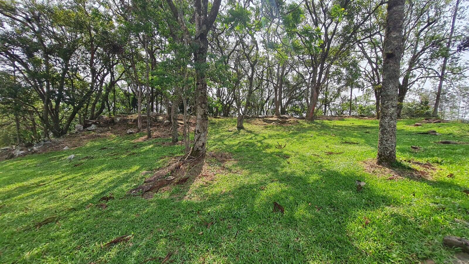 Apartamento, 776 m² - Foto 9