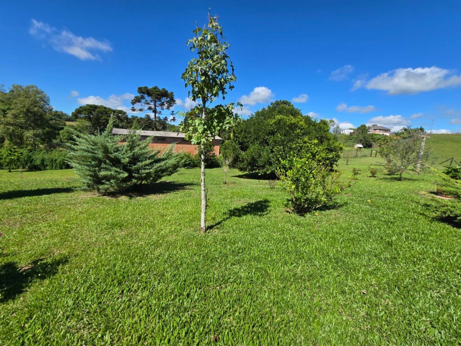 Chácara à venda com 3 quartos, 190m² - Foto 35