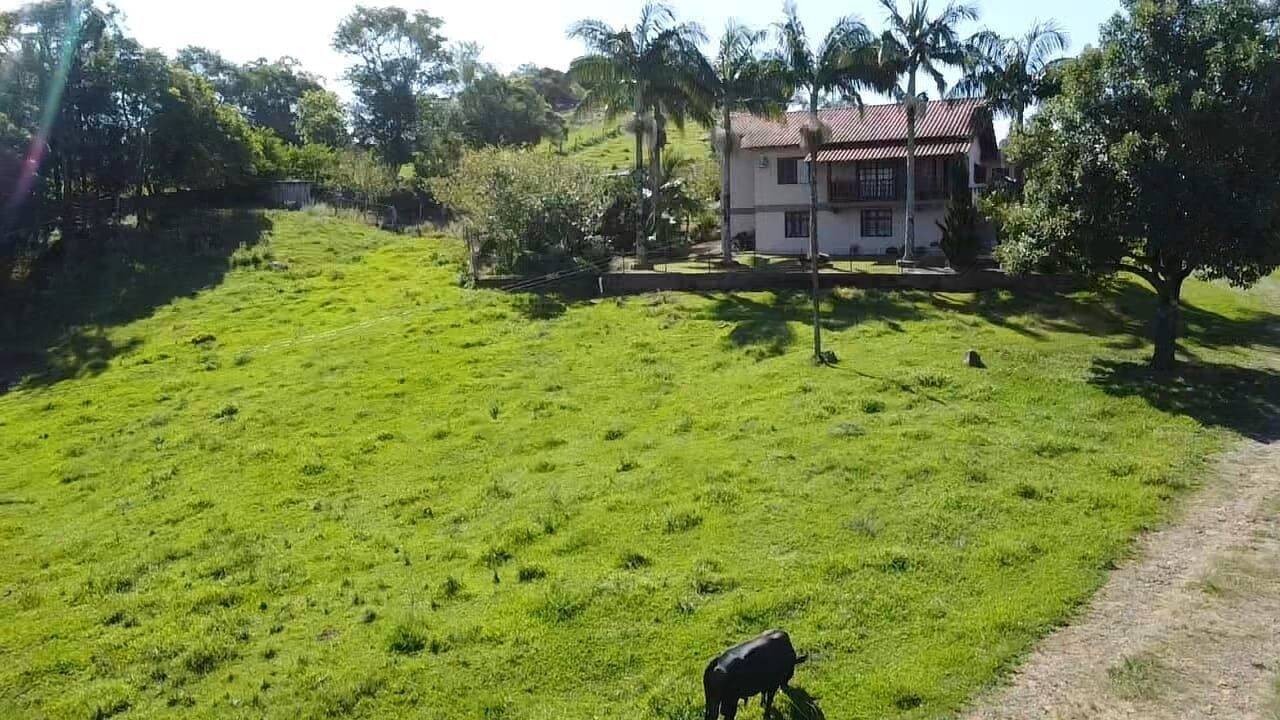 Sítio à venda com 4 quartos, 150m² - Foto 4