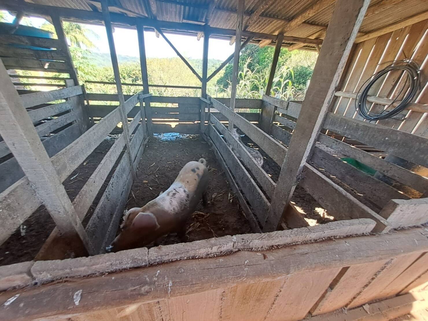 Sítio à venda com 4 quartos, 150m² - Foto 35