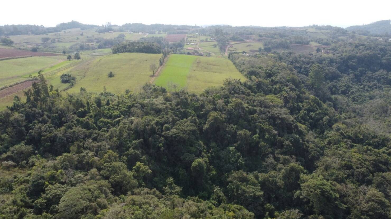 Chácara à venda com 1 quarto, 22863m² - Foto 17