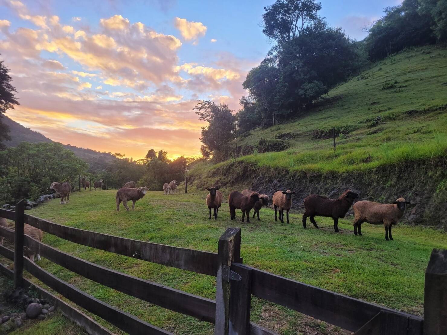 Fazenda à venda com 3 quartos, 147000m² - Foto 1