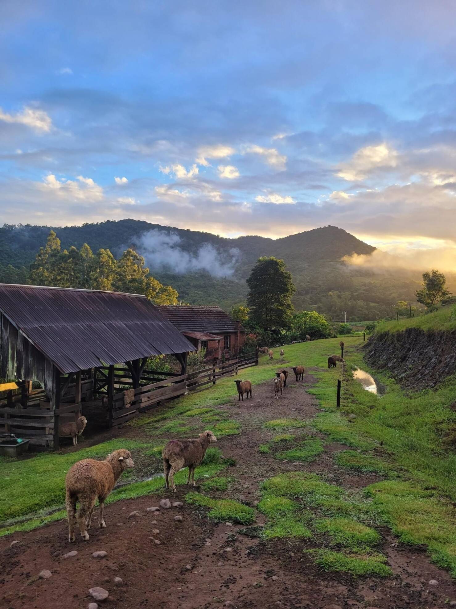 Fazenda à venda com 3 quartos, 147000m² - Foto 2