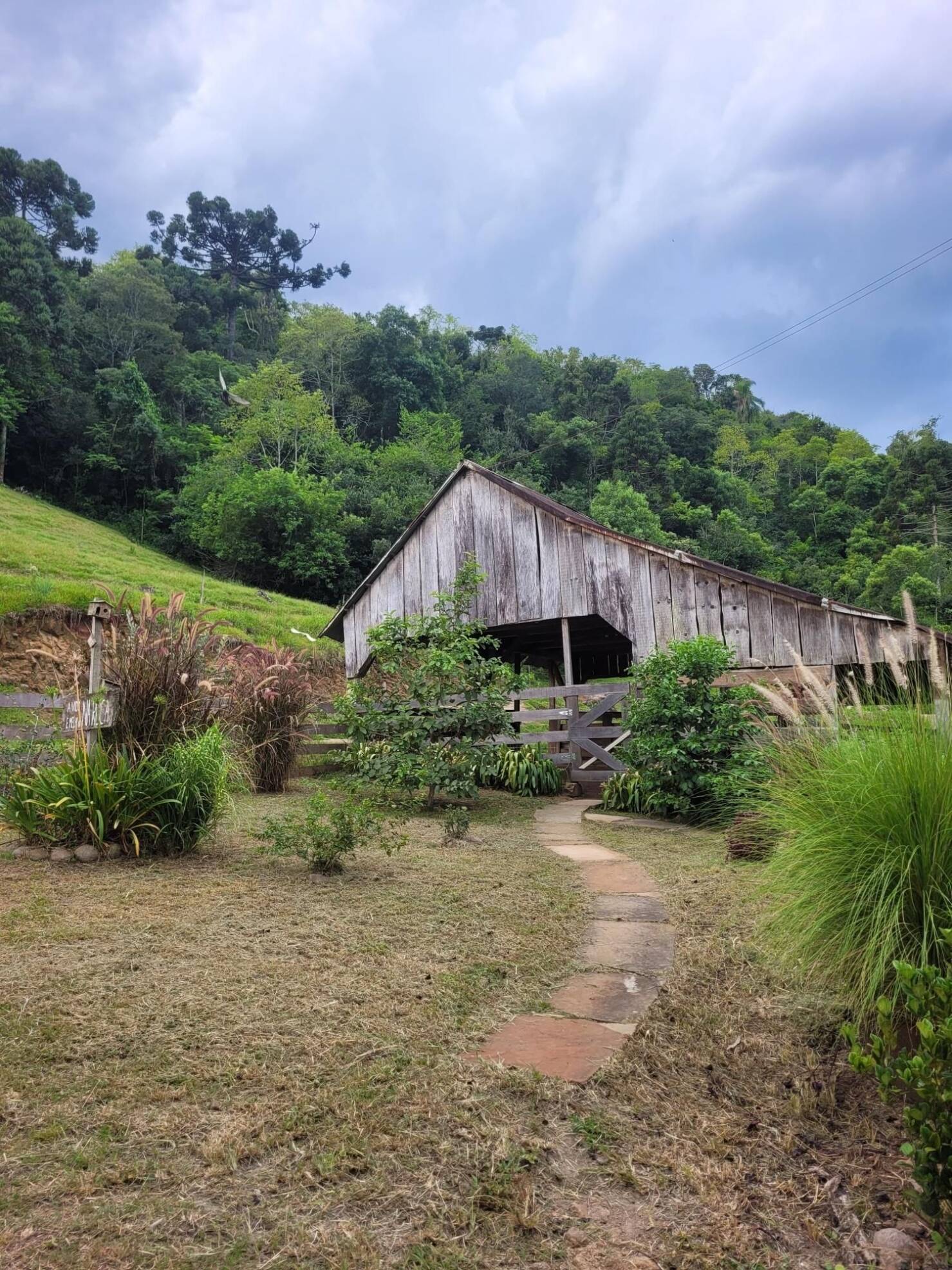 Fazenda à venda com 3 quartos, 147000m² - Foto 4