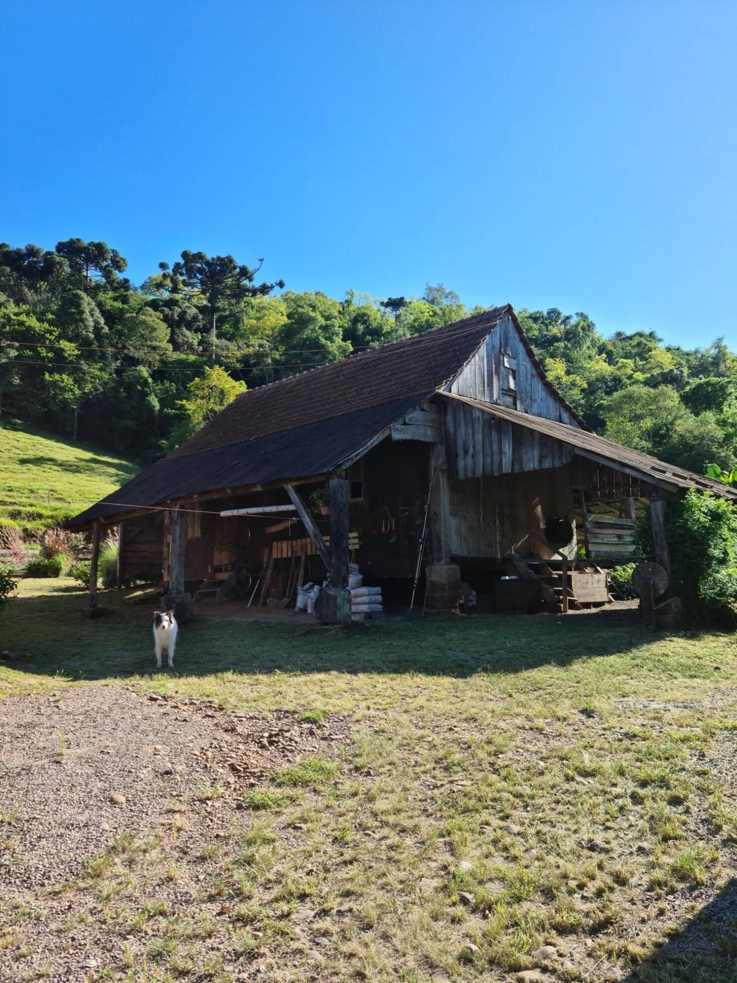 Fazenda à venda com 3 quartos, 147000m² - Foto 6