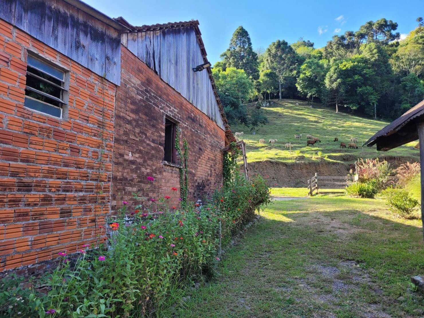 Fazenda à venda com 3 quartos, 147000m² - Foto 7