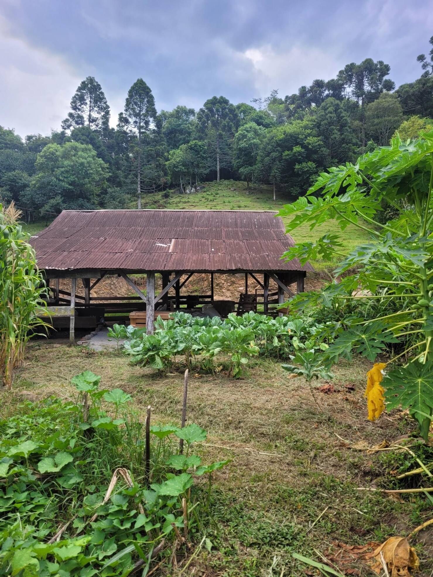 Fazenda à venda com 3 quartos, 147000m² - Foto 8