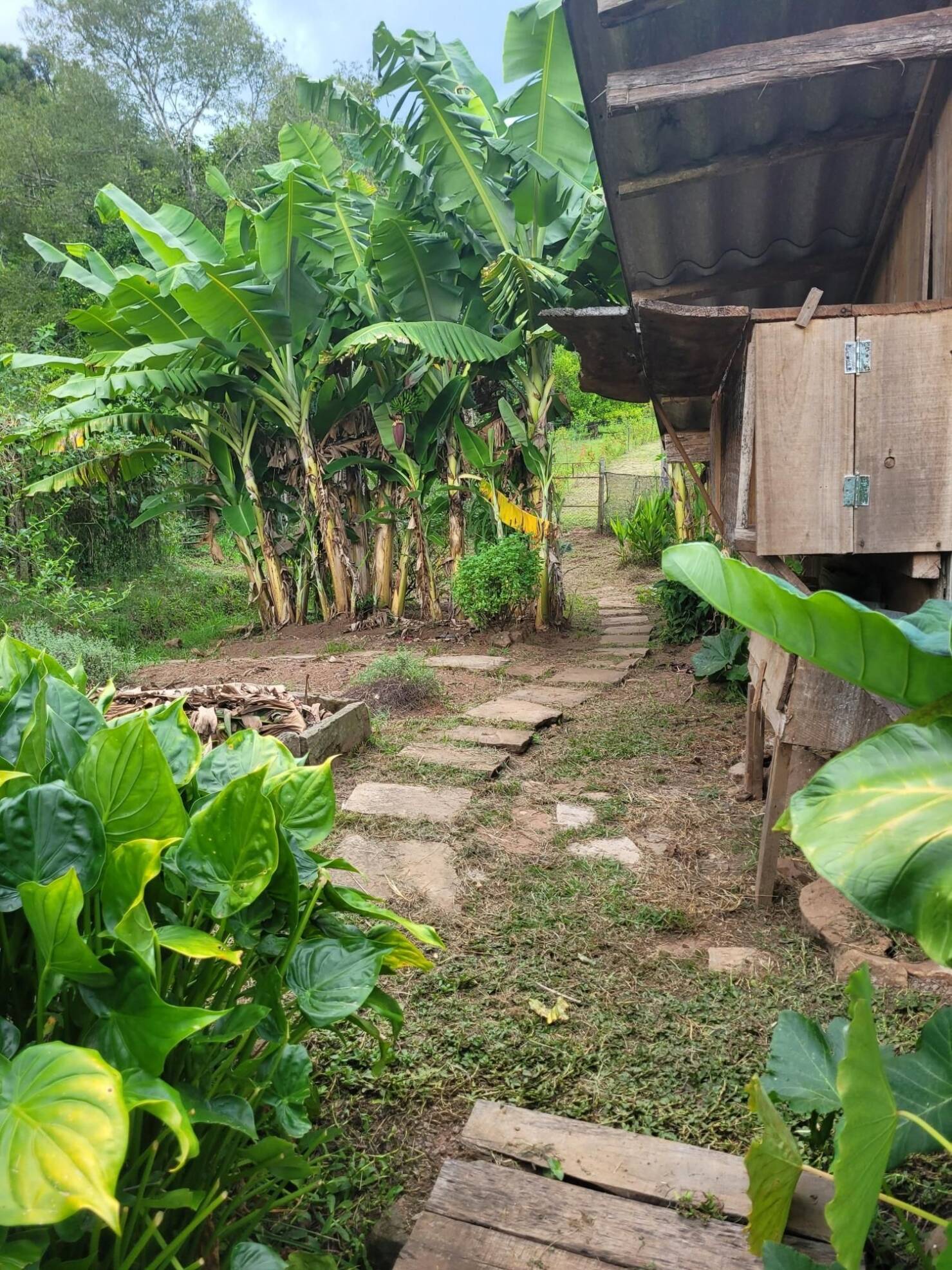 Fazenda à venda com 3 quartos, 147000m² - Foto 9