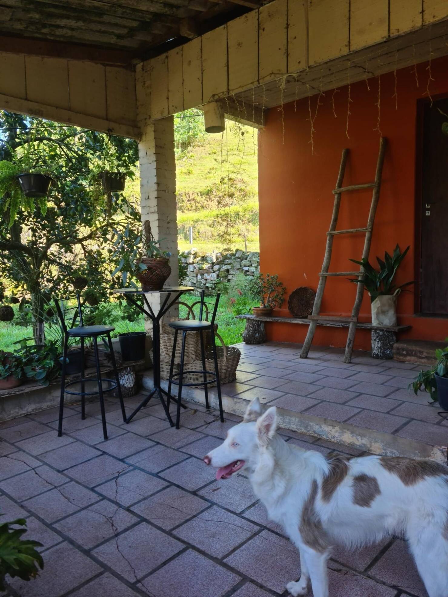 Fazenda à venda com 3 quartos, 147000m² - Foto 11