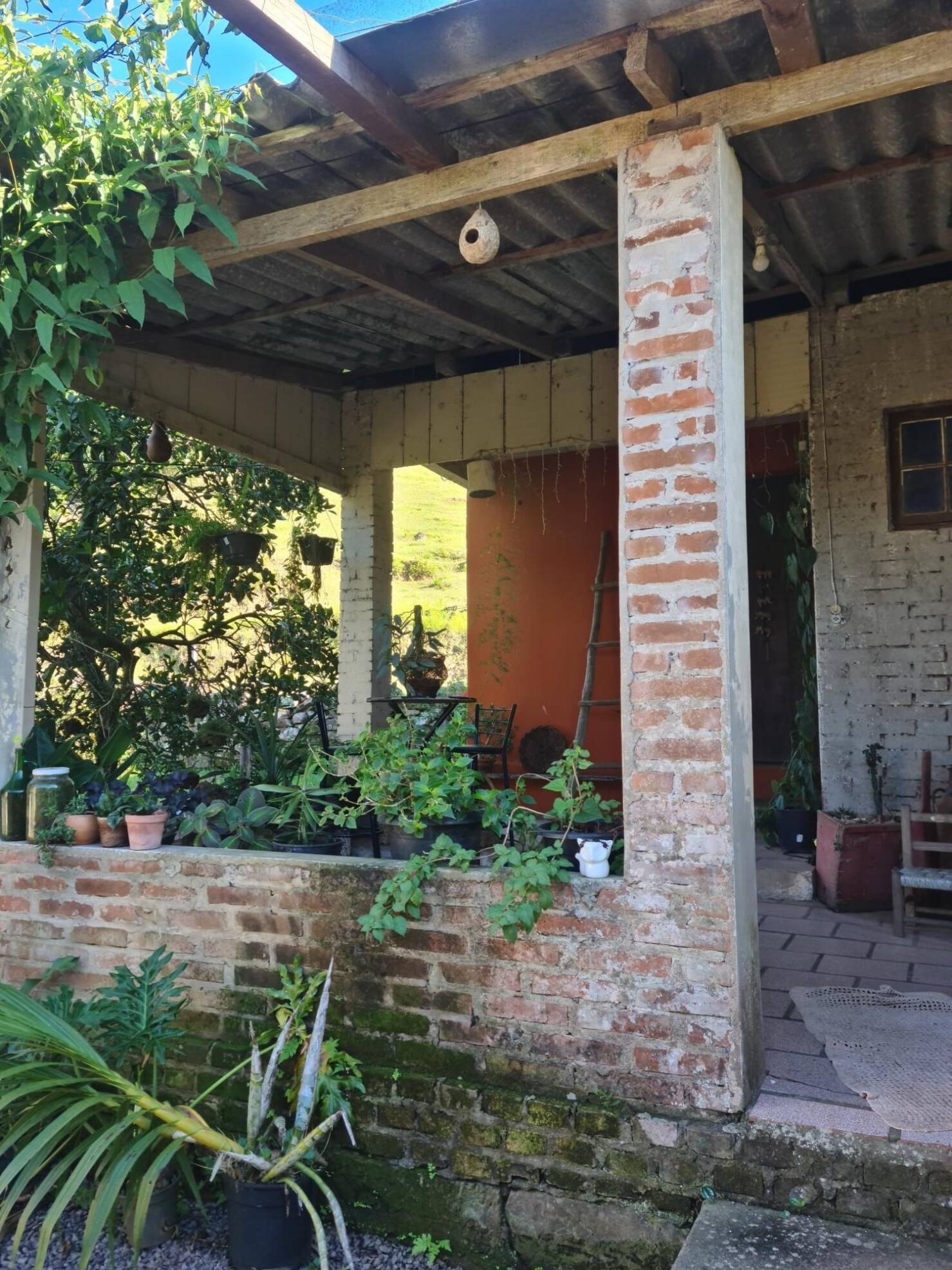 Fazenda à venda com 3 quartos, 147000m² - Foto 12