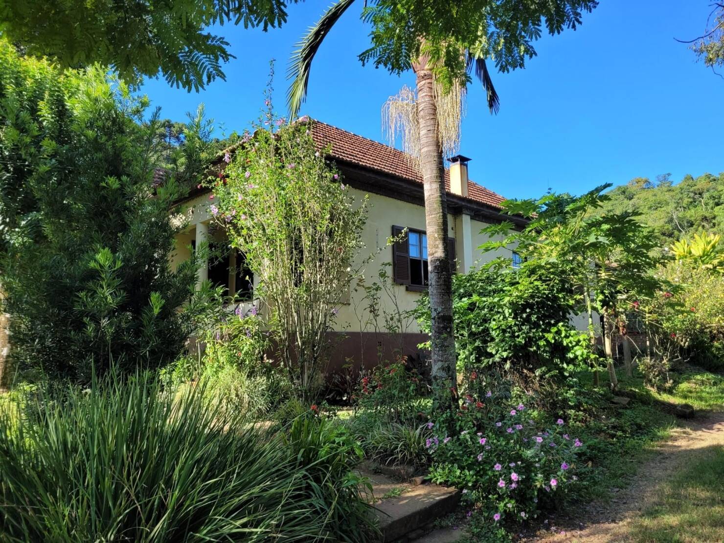 Fazenda à venda com 3 quartos, 147000m² - Foto 13