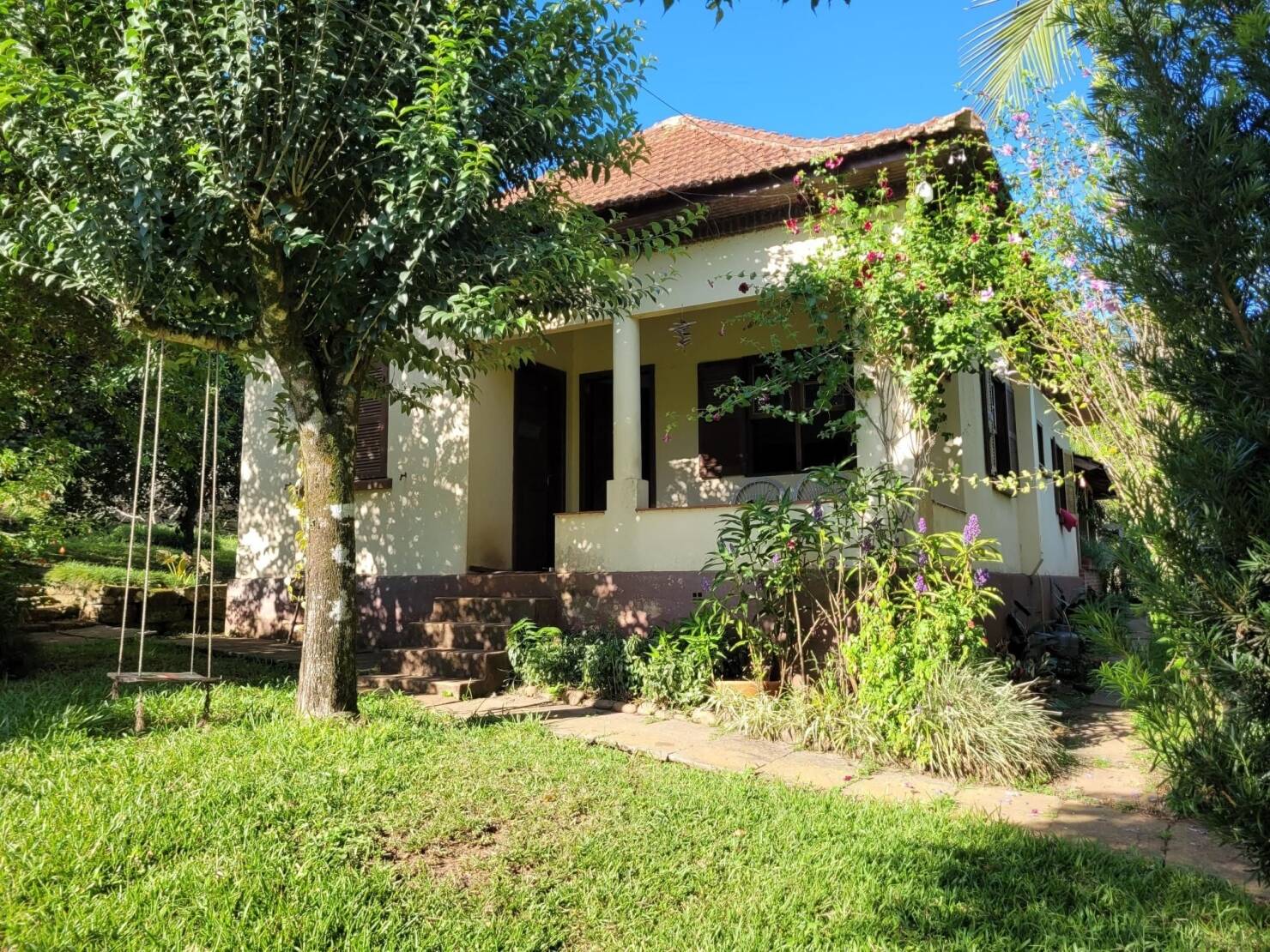 Fazenda à venda com 3 quartos, 147000m² - Foto 14