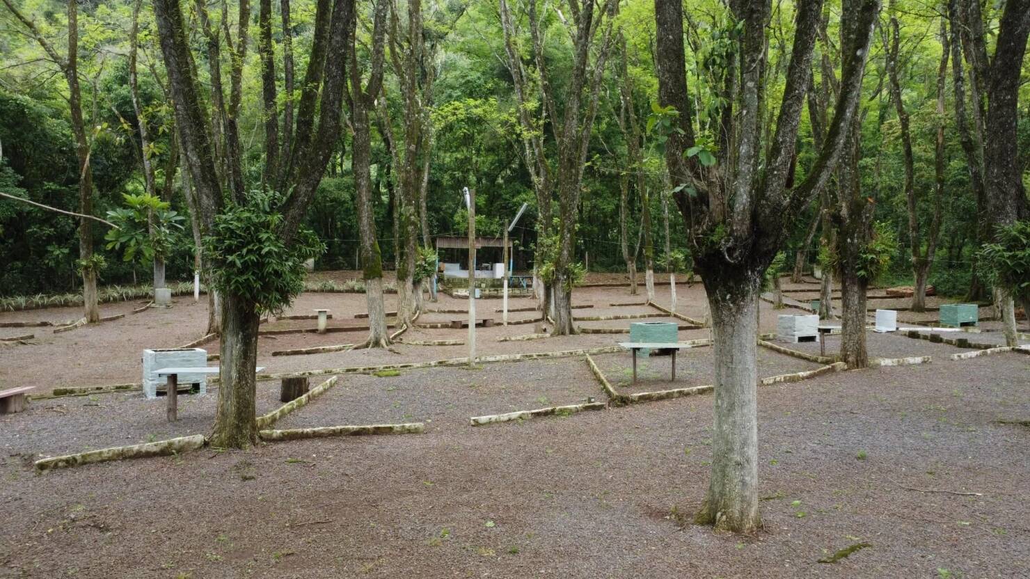 Chácara à venda com 3 quartos, 600m² - Foto 15