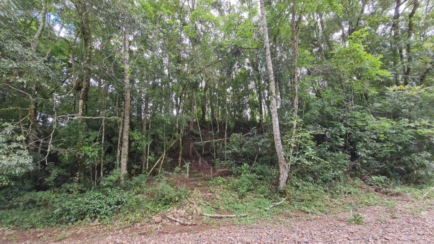 Chácara à venda com 3 quartos, 600m² - Foto 30