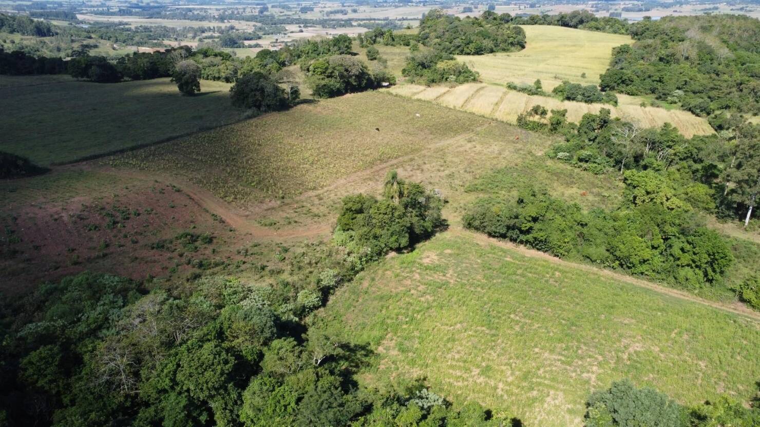 Terreno à venda, 77000m² - Foto 2