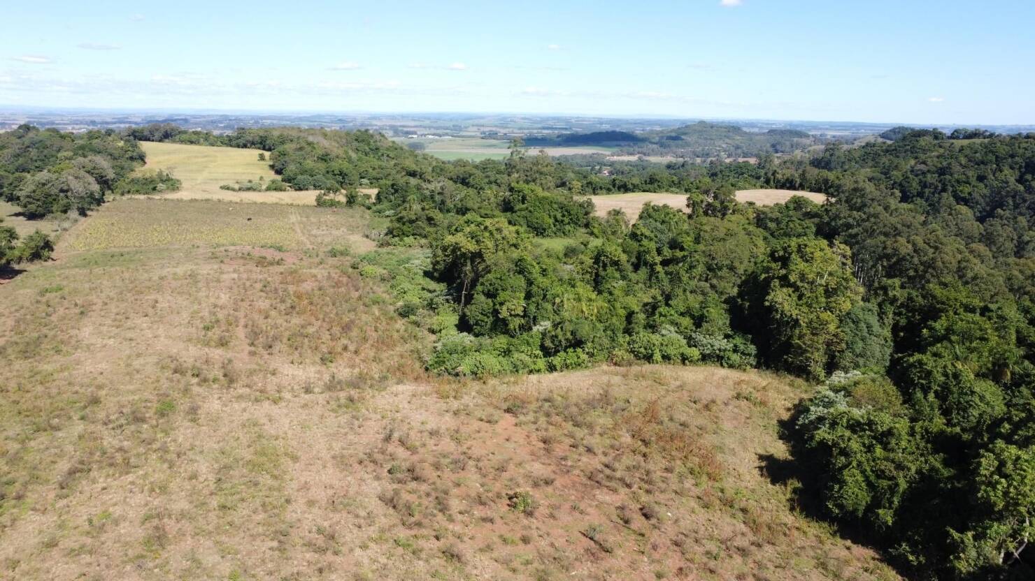 Terreno à venda, 77000m² - Foto 5