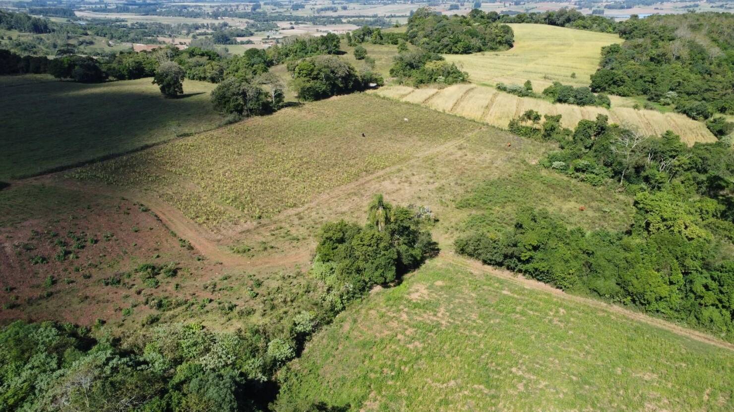 Terreno à venda, 77000m² - Foto 7