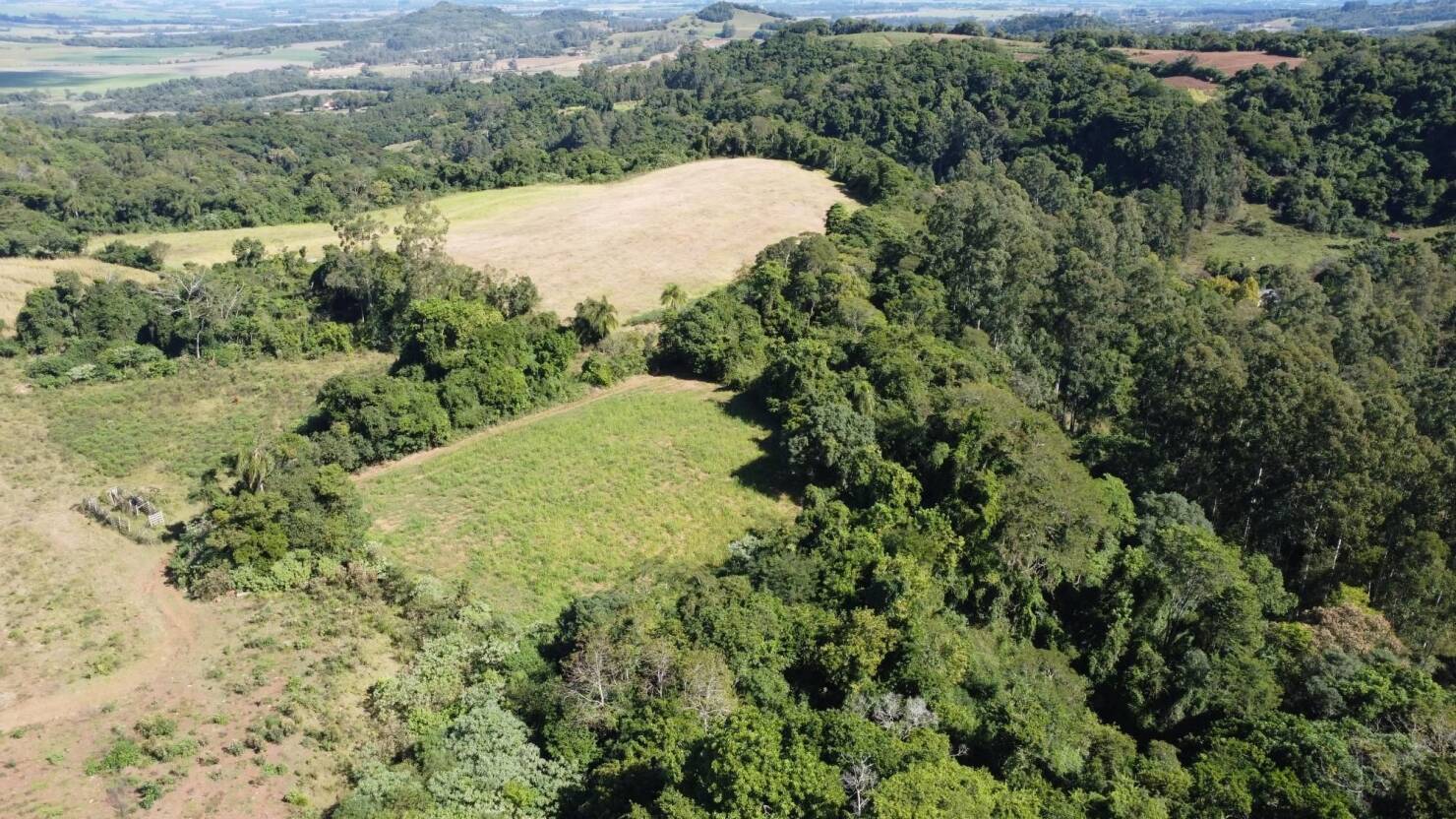 Terreno à venda, 77000m² - Foto 10