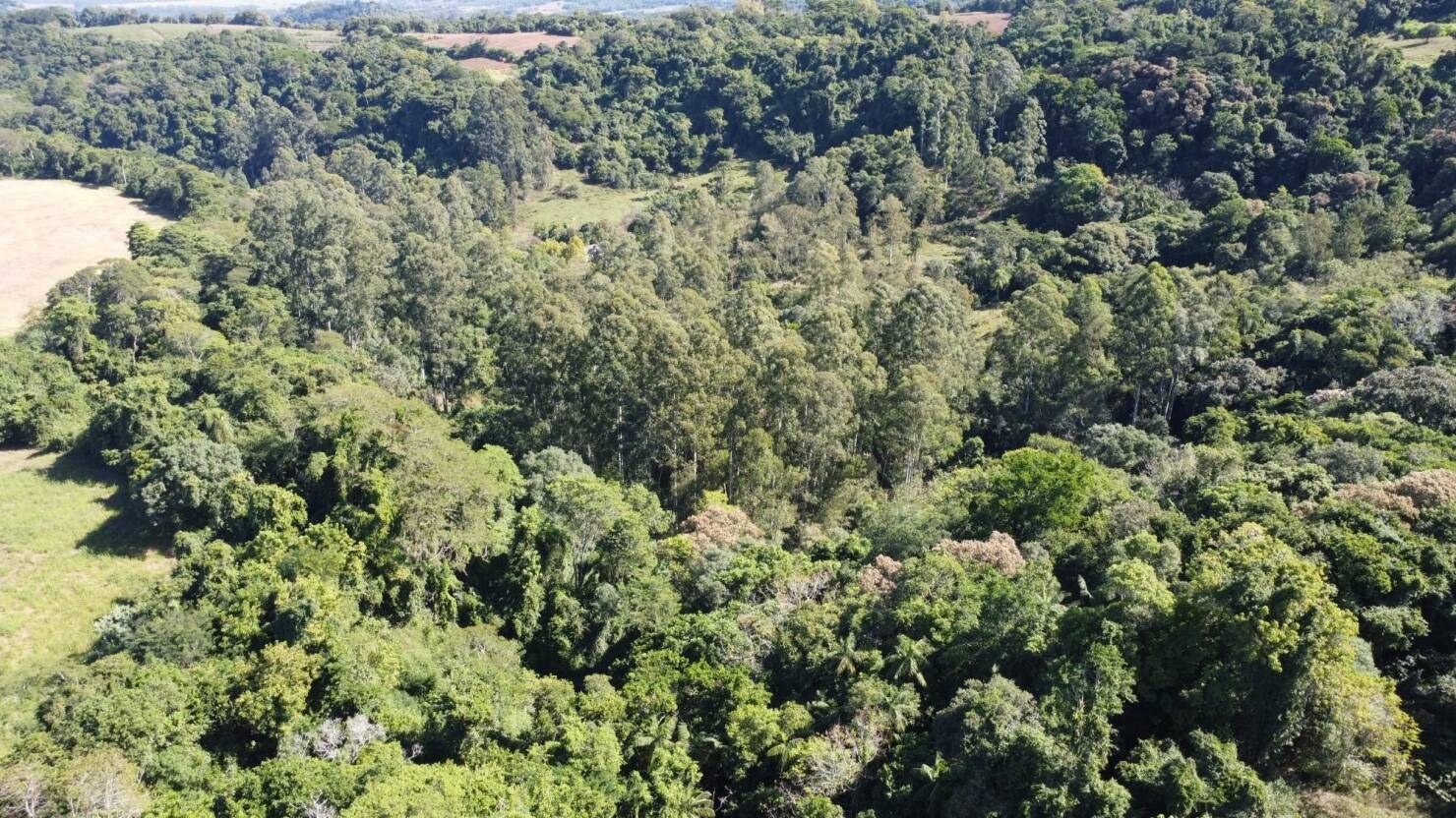 Terreno à venda, 77000m² - Foto 11