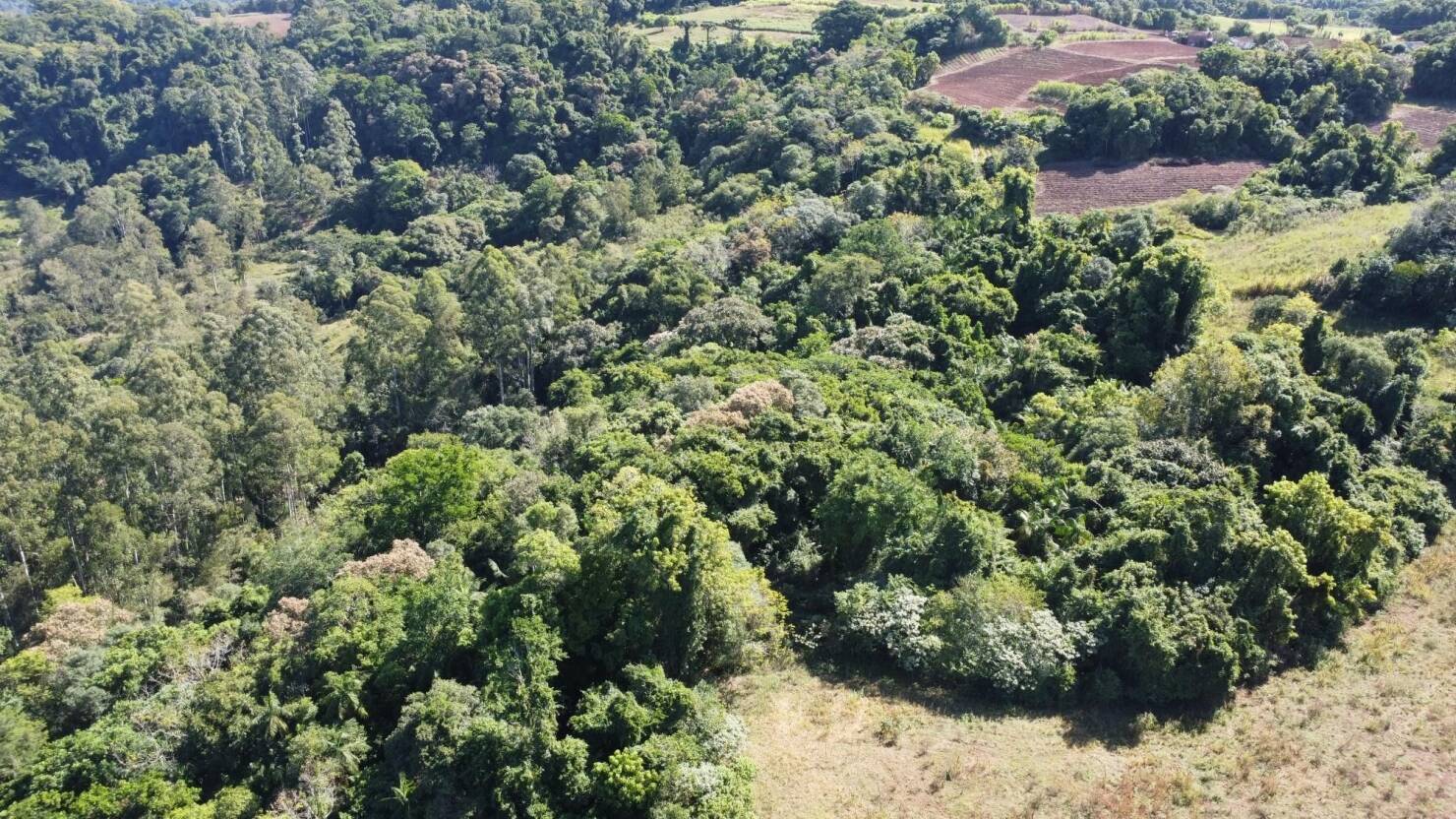Terreno à venda, 77000m² - Foto 12