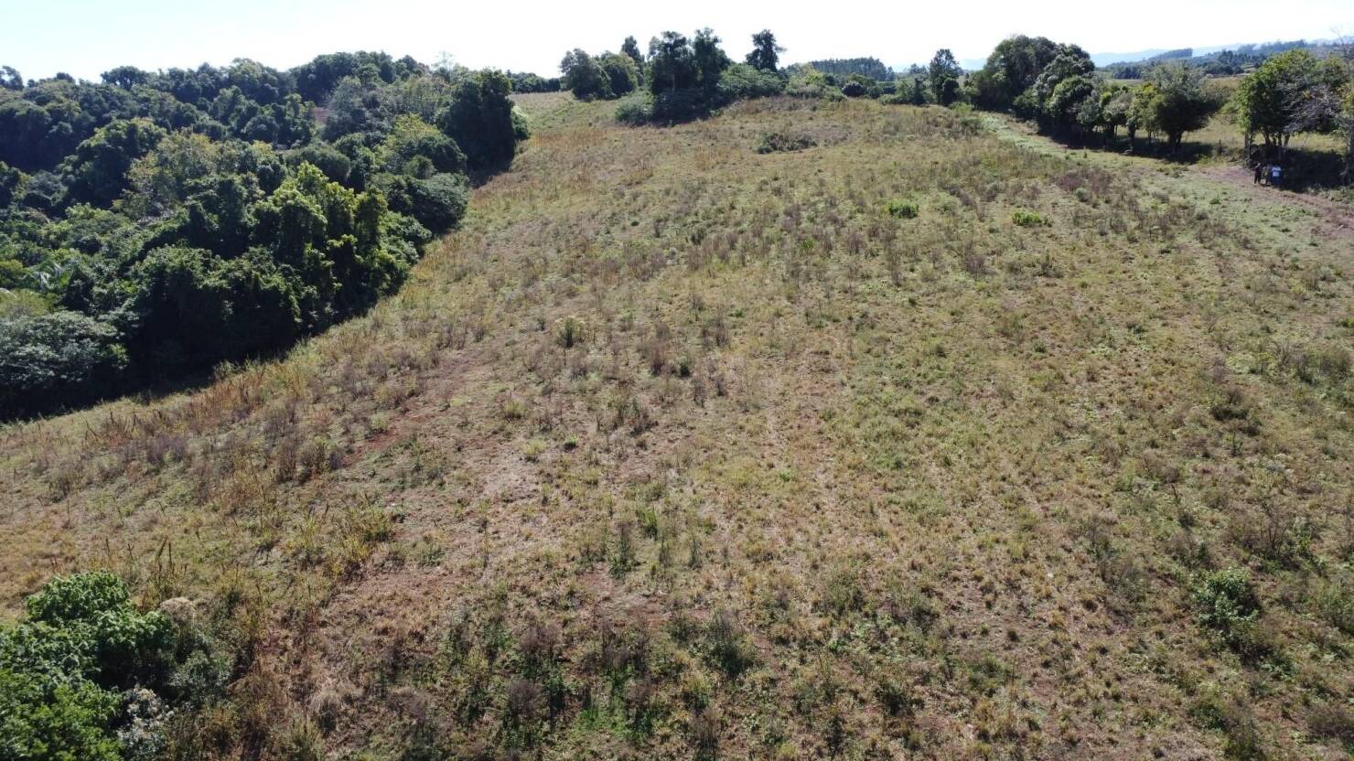 Terreno à venda, 77000m² - Foto 14