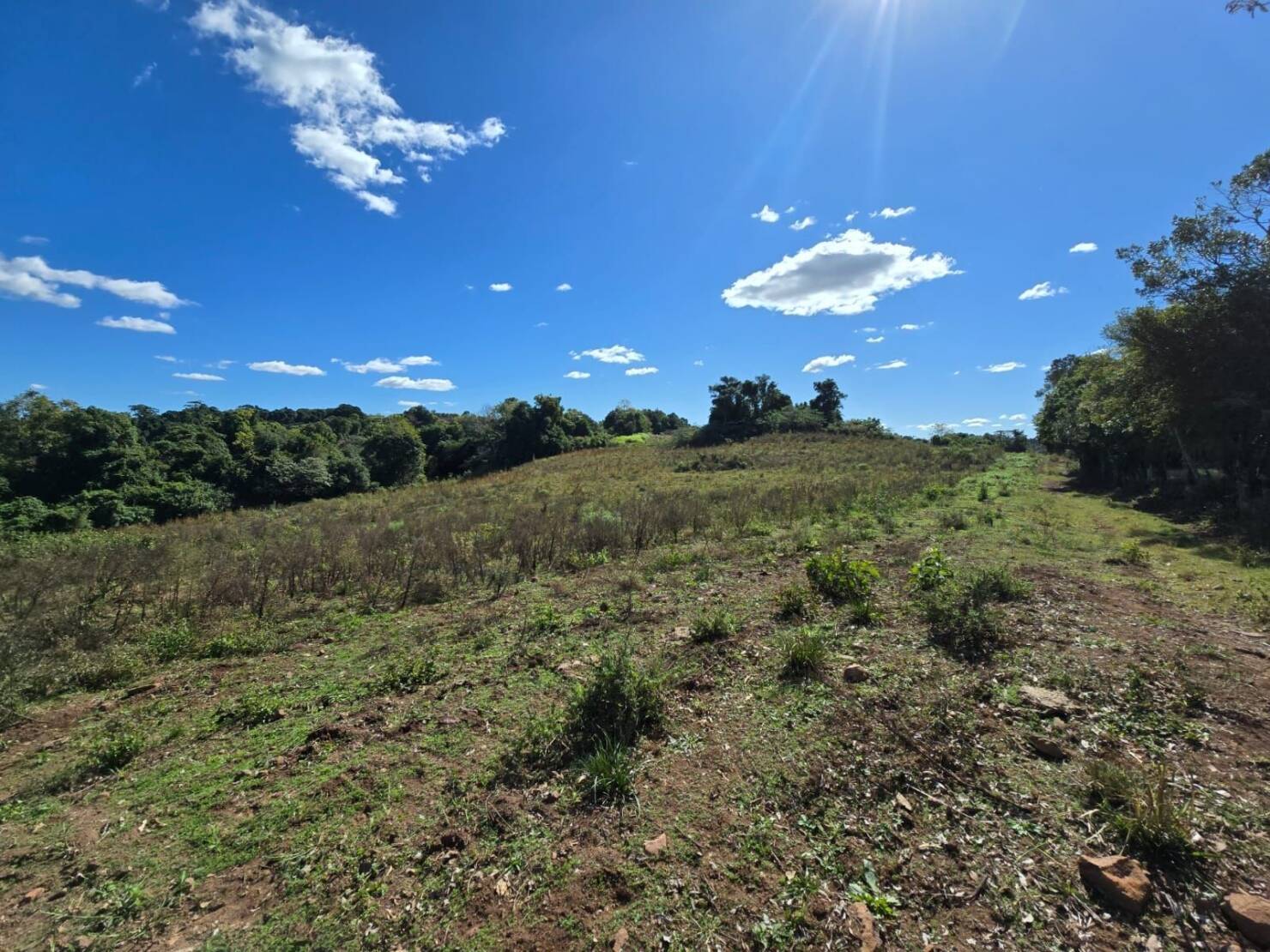 Terreno à venda, 77000m² - Foto 19