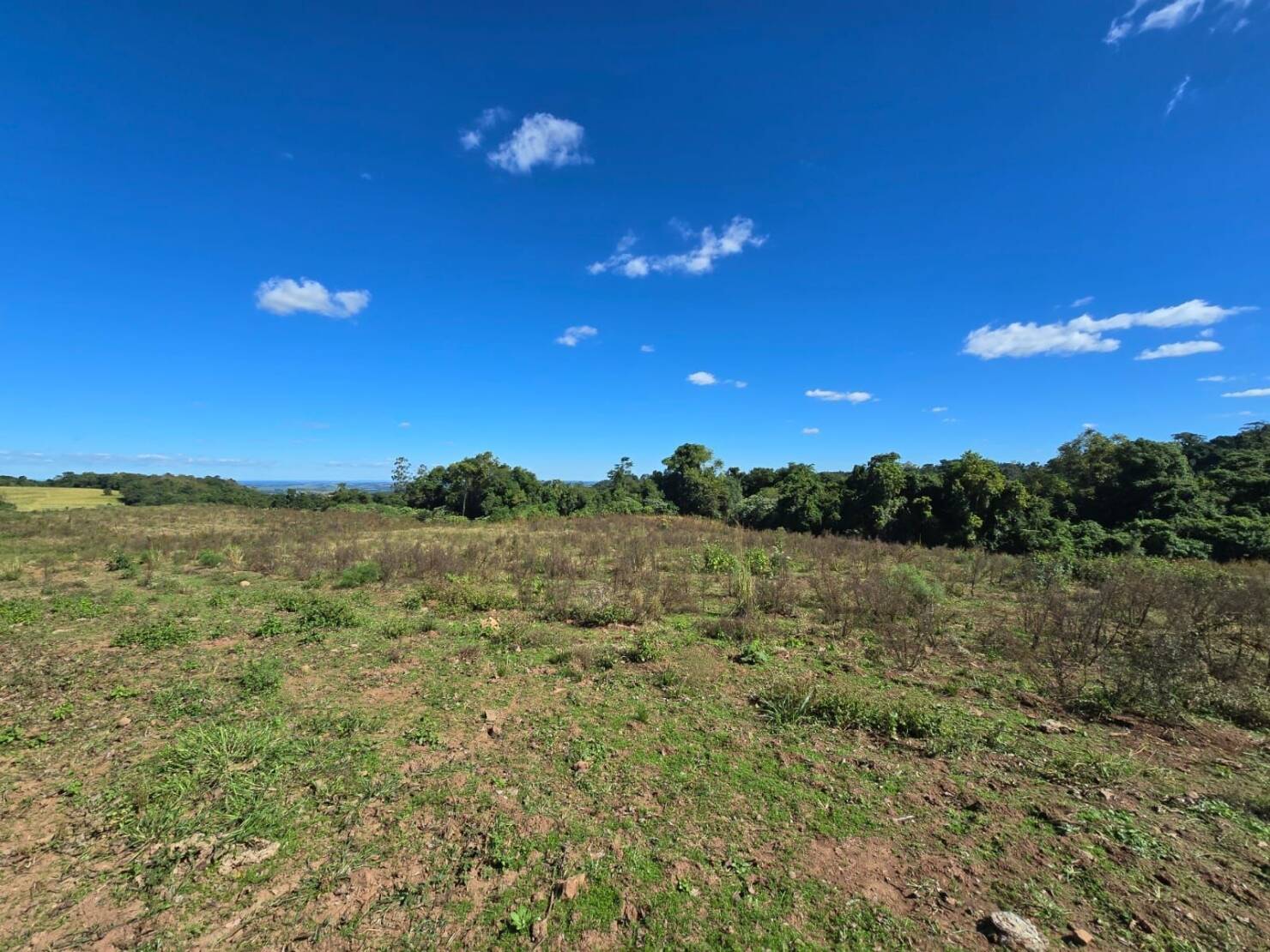 Terreno à venda, 77000m² - Foto 20