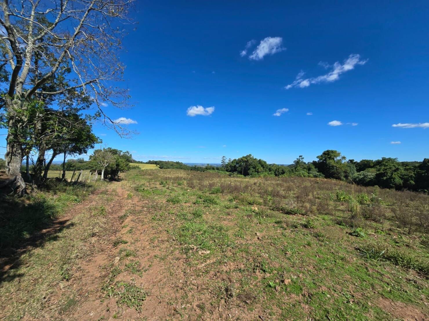 Terreno à venda, 77000m² - Foto 21