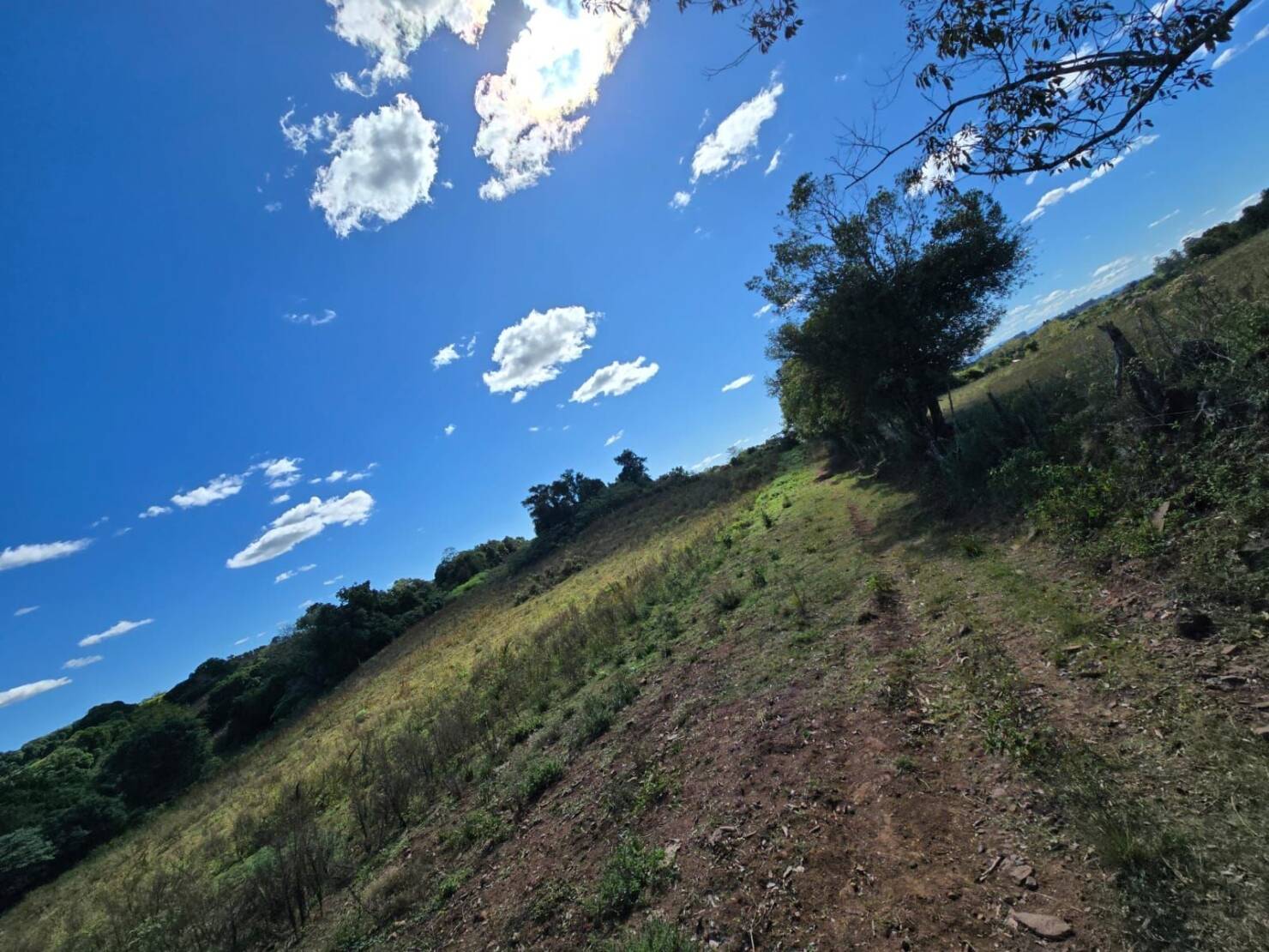 Terreno à venda, 77000m² - Foto 22