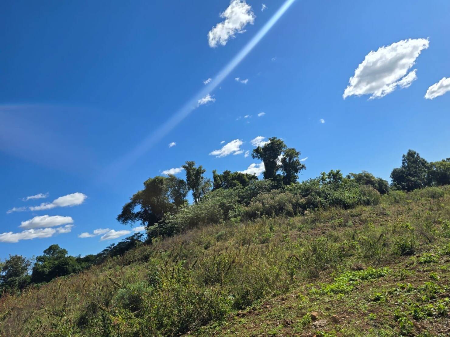 Terreno à venda, 77000m² - Foto 23