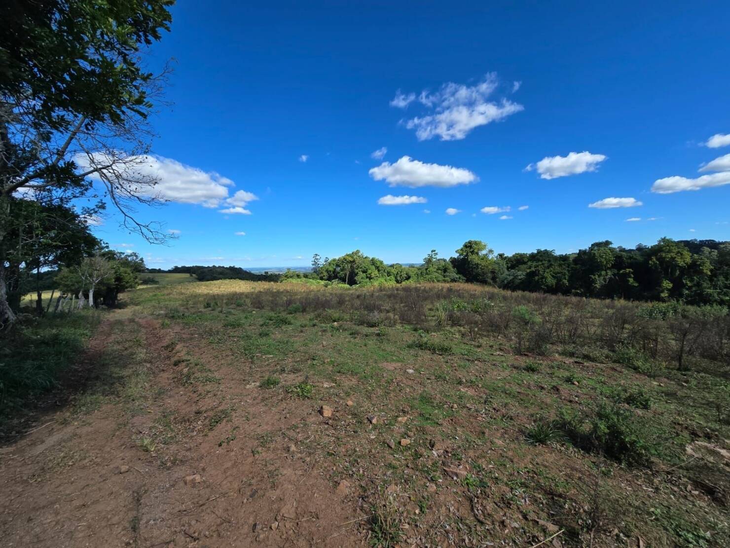 Terreno à venda, 77000m² - Foto 24