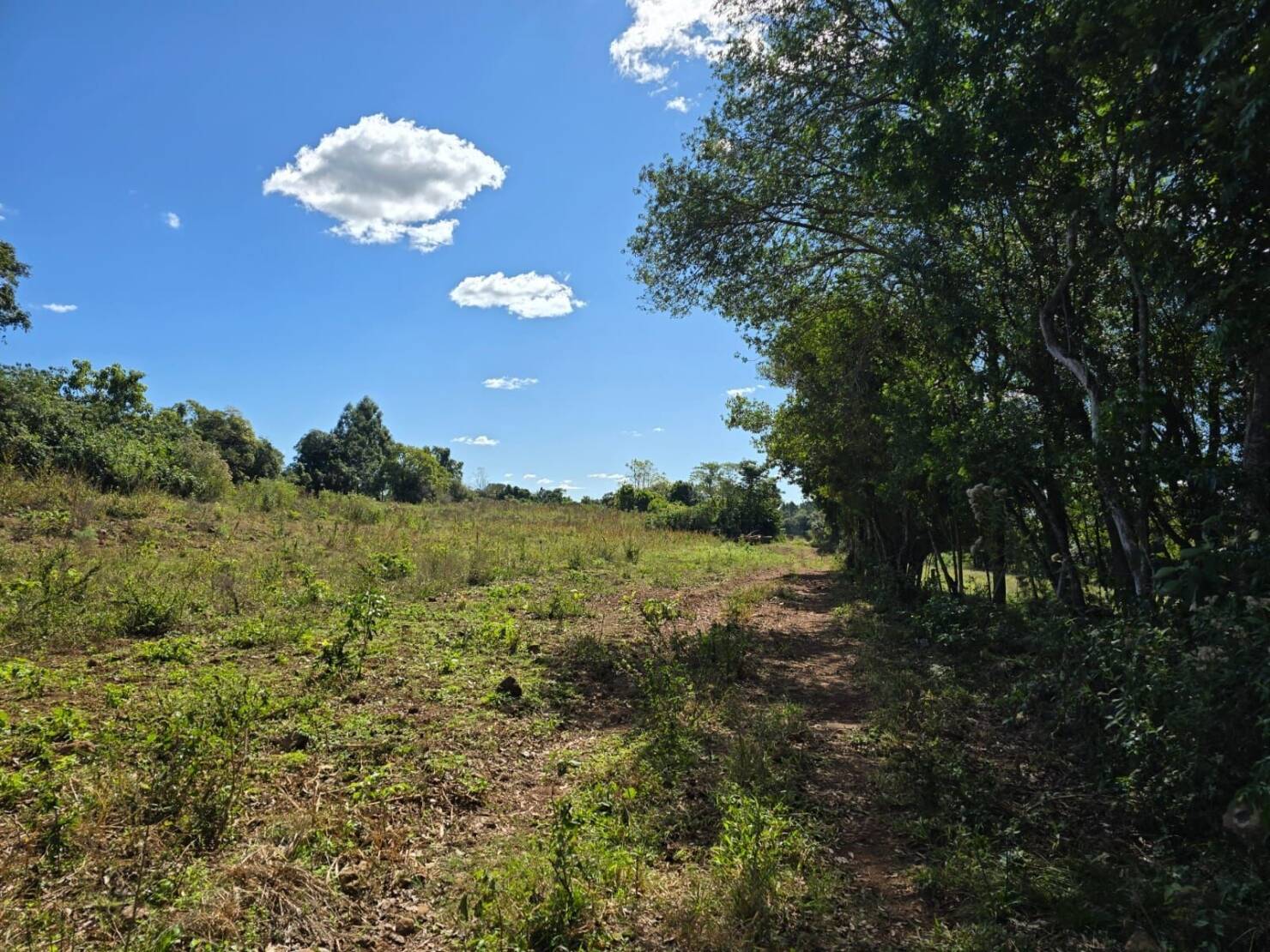 Terreno à venda, 77000m² - Foto 25